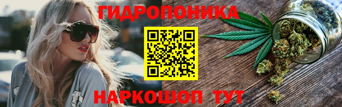 Бошки Шишки план  Конопля Bruce Banner  Нижнекамск  Вход с VPN 